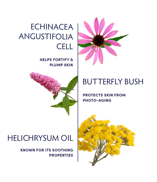 Plant Stem Cell Booster Serum